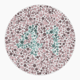 Preview of plate color_protan_s040_n41