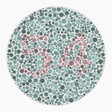 Preview of plate color_protan_s040_n54