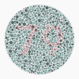 Preview of plate color_protan_s040_n79
