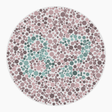 Preview of plate color_protan_s040_n82