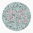 Preview of plate color_protan_s040_n95