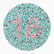 Preview of plate color_protan_s080_n18