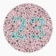 Preview of plate color_protan_s080_n23