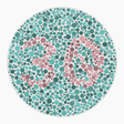 Preview of plate color_protan_s080_n30