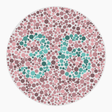 Preview of plate color_protan_s080_n36