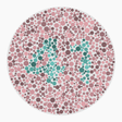 Preview of plate color_protan_s080_n41