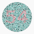 Preview of plate color_protan_s080_n54
