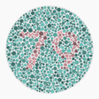 Preview of plate color_protan_s080_n79