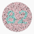 Preview of plate color_protan_s080_n82