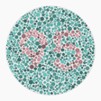 Preview of plate color_protan_s080_n95