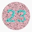 Preview of plate color_protan_s120_n23