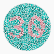 Preview of plate color_protan_s120_n30