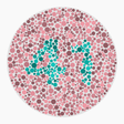 Preview of plate color_protan_s120_n41