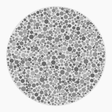 Preview of plate gray_deutan_s006_n36
